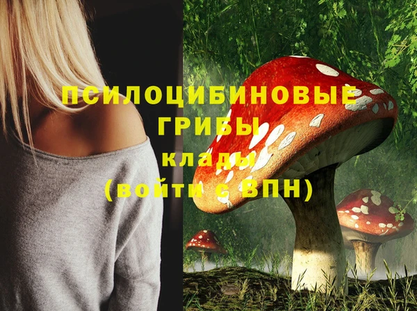 гашиш Заводоуковск