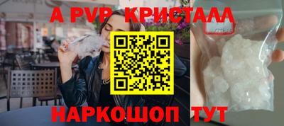 амф Гатчина