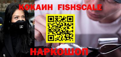 амф Гатчина