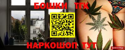 амф Гатчина