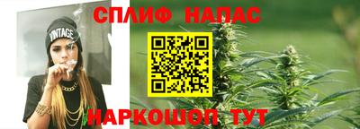 мдпв Гагарин