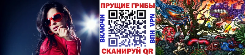 Галлюциногенные грибы GOLDEN TEACHER  MEGA tor  Алапаевск 