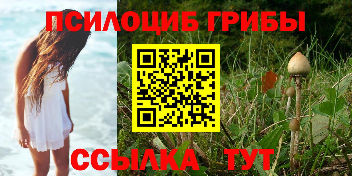 Галлюциногенные грибы Psilocybe Алапаевск