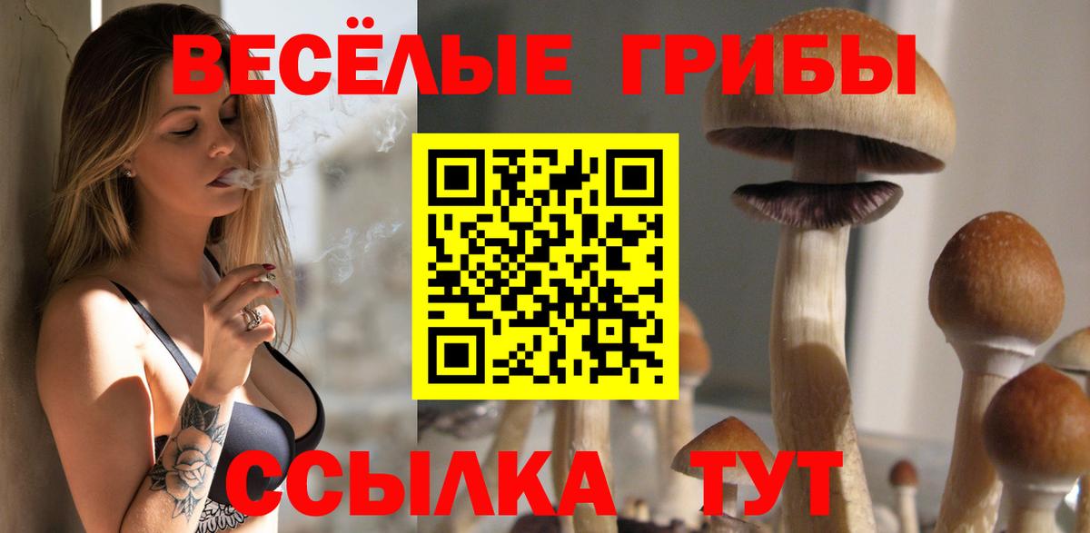 Алапаевск  Галлюциногенные грибы Psilocybe  Вход с VPN 